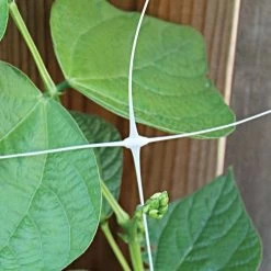 Hortonova Trellis Netting, 6-1/2 Feet X 3,280 Feet -Garden Home htn63280 9
