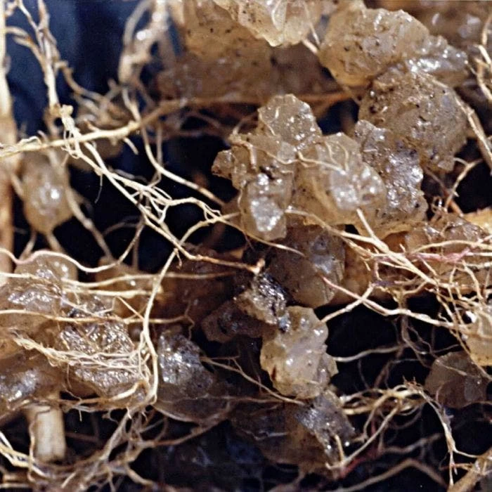 Soil Moist, 3 Lb Bulk Jug 5 Soil Moist, 3 Lb Bulk Jug - Image 3