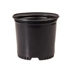 NSI Pressure Formed Container Trade True 1