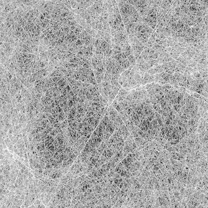 Germination And Insect Blanket 4 Germination And Insect Blanket - Image 2