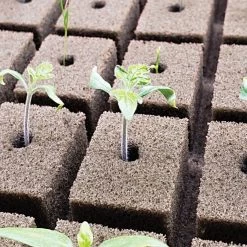 OASIS; Grower Solutions Horticubes; XL Foam Medium, 162 Cell -Garden Home rc104 2 3