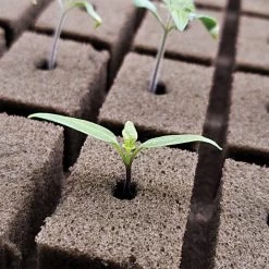 OASIS Grower Solutions Horticubes XL Foam Medium, 276 Cell -Garden Home rc104 3 4