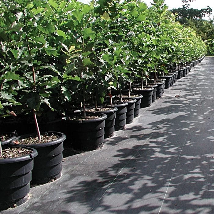 Root Maker Injection Molded 3 Gallon Container, Case Of 15 4 Root Maker Injection Molded 3 Gallon Container, Case Of 15 - Image 2