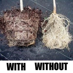 Root Maker Injection Molded 3 Gallon Container, Case Of 15 7 Root Maker Injection Molded 3 Gallon Container, Case Of 15 -Garden Home rmc3 2