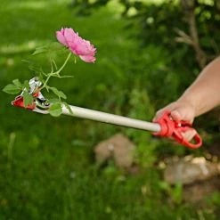 ARS LongReach Rose Pruner Fixed 2ft Cut & Hold -Garden Home rp150 2