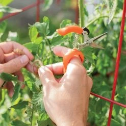 Hands-Free Ring Pruner 11 Hands-Free Ring Pruner -Garden Home rp2 3
