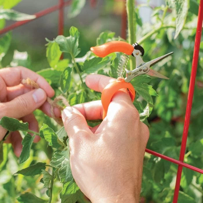 Hands-Free Ring Pruner 5 Hands-Free Ring Pruner - Image 3