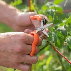 Hands-Free Ring Pruner 12 Hands-Free Ring Pruner -Garden Home rp2 4