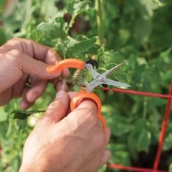 Hands-Free Ring Pruner 13 Hands-Free Ring Pruner -Garden Home rp2 5