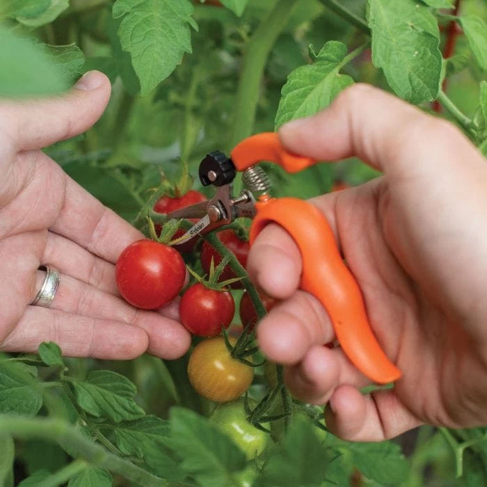 Hands-Free Ring Pruner 8 Hands-Free Ring Pruner - Image 6