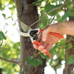 Leonard Saw, Pruner And Dual Case Combo Kit -Garden Home sc89com 8