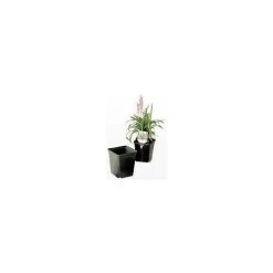 ITML Kordlok Deep Perennial Pots 5 5/16in Width X 6 1/16in Depth Black