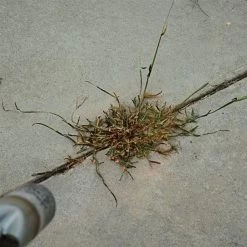 Red Dragon; 400,000 BTU Torch Kit 13 Red Dragon; 400,000 BTU Torch Kit -Garden Home t230 6