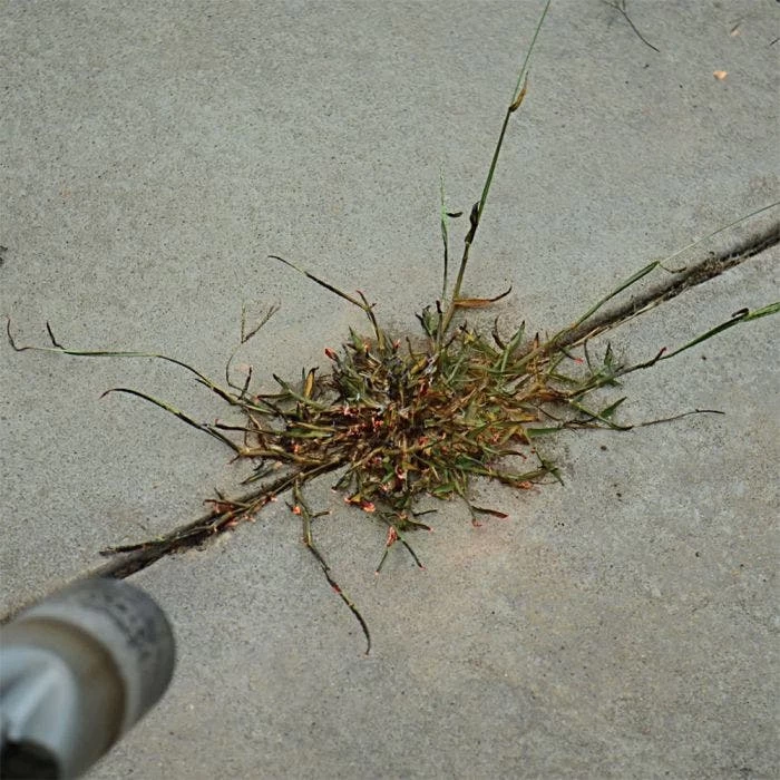 Red Dragon; 400,000 BTU Torch Kit 6 Red Dragon; 400,000 BTU Torch Kit - Image 4