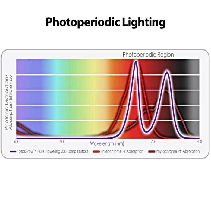 TotalGrow Pure Flowering 200 Lamp 5 TotalGrow Pure Flowering 200 Lamp - Image 3
