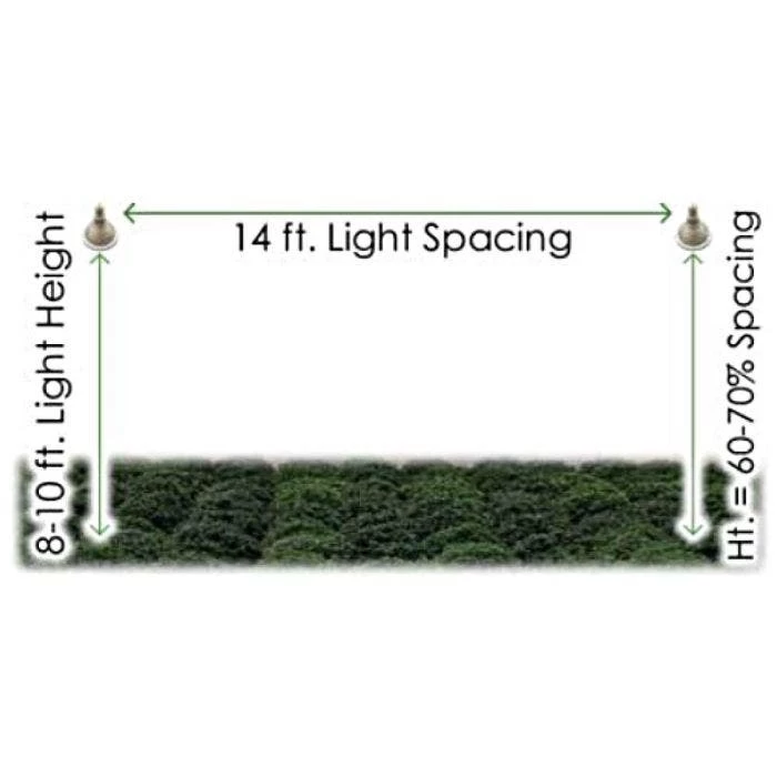 TotalGrow Pure Flowering 200 Lamp 7 TotalGrow Pure Flowering 200 Lamp - Image 5