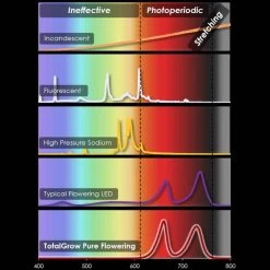 TotalGrow Pure Flowering 200 Lamp 13 TotalGrow Pure Flowering 200 Lamp -Garden Home tg1a4 5