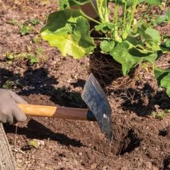 Hoedag Original Planter Mattock With 54" Handle -Garden Home tn54 live2