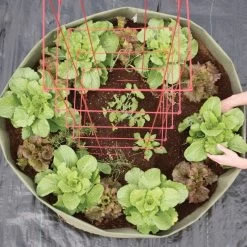 Root Pouch Non Degradable Mega Grow Bag Raised Bed -Garden Home vp boxerbed 5