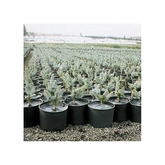 Geodisc UV-Resistant Weed-Blocking Discs 4 Geodisc UV-Resistant Weed-Blocking Discs - Image 2