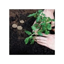 Grotab 3-in-1 Premium Plant Starter (12-8-4) -Garden Home vp gt 3