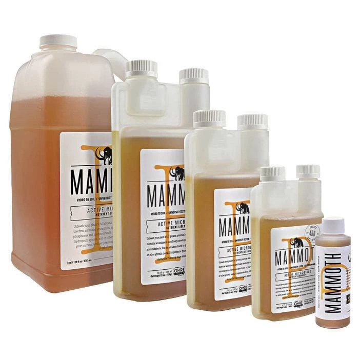 MAMMOTH P 3 MAMMOTH P