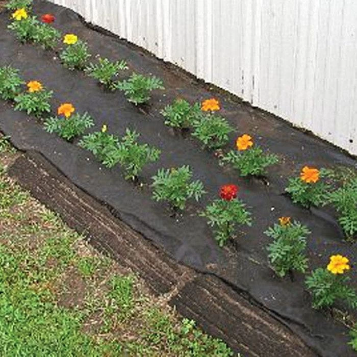 Biodegradable Paper Mulch 9 Biodegradable Paper Mulch - Image 7