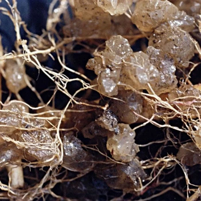 Soil Moist Plus 7 7 7 Granular 4 Soil Moist Plus 7 7 7 Granular - Image 2