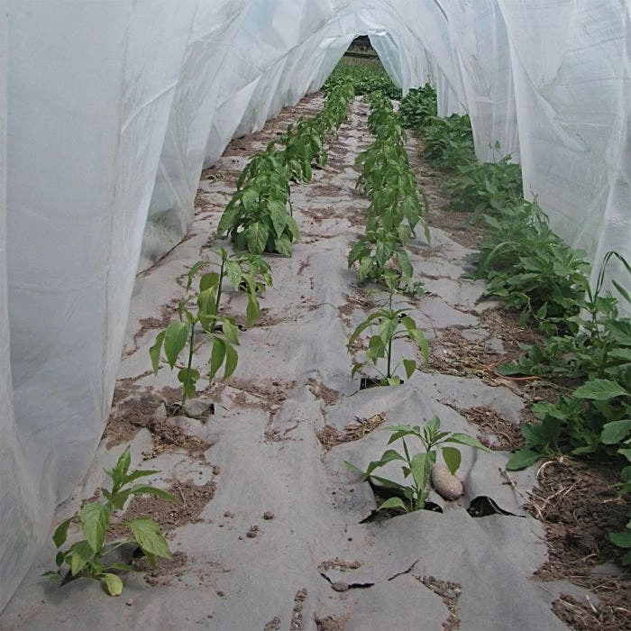 Biodegradable Paper Mulch, 3 Feet By 500 Feet 4 Biodegradable Paper Mulch, 3 Feet By 500 Feet - Image 2