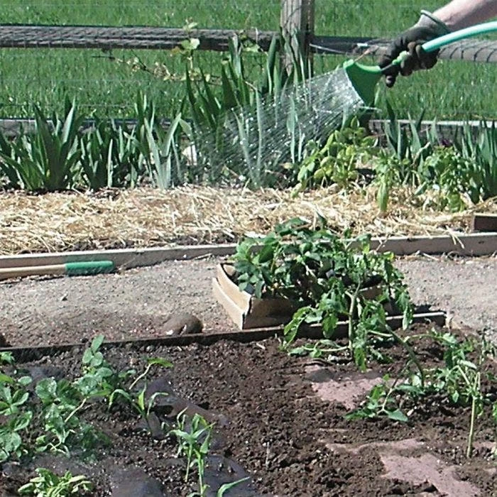 Biodegradable Paper Mulch, 3 Feet By 500 Feet 8 Biodegradable Paper Mulch, 3 Feet By 500 Feet - Image 6