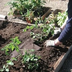 Biodegradable Paper Mulch, 4 Feet By 250 Feet -Garden Home wg48250f 2