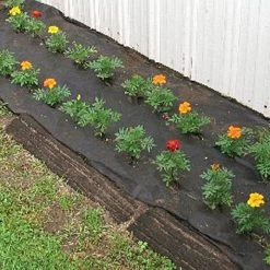 Biodegradable Paper Mulch, 4 Feet By 250 Feet -Garden Home wg48250f 6