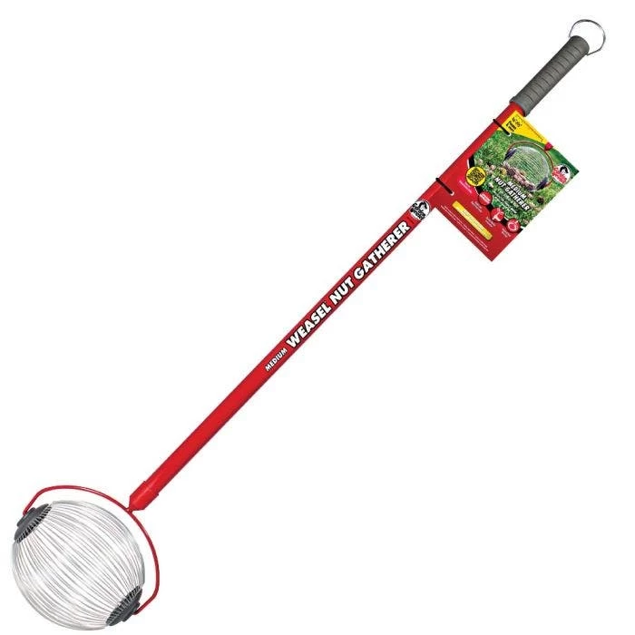 Medium Weasel Nut Gatherer 3 Medium Weasel Nut Gatherer