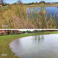 Weed Razer Pro - Adjustable Lake Weed Cutter -Garden Home wrz10 2