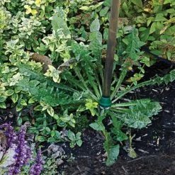 Weed Wand Magic Applicator With 3 Replacement Tips -Garden Home wwata 3