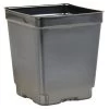 Landmark 4.5-in Square Pot Deep, Case Of 375